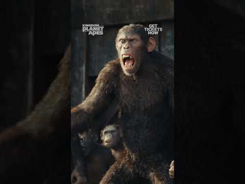 Kingdom of the Planet of the Apes I In Theaters May 10