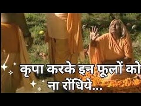 रामायण कथा | श्रीराम और लक्ष्मण के लिये फूल बिछाती माता शबरी