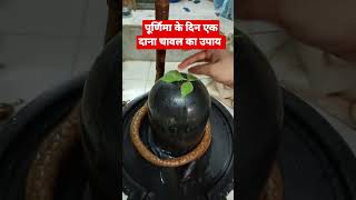 पूर्णिमा के दिन एक #दाना चावल का