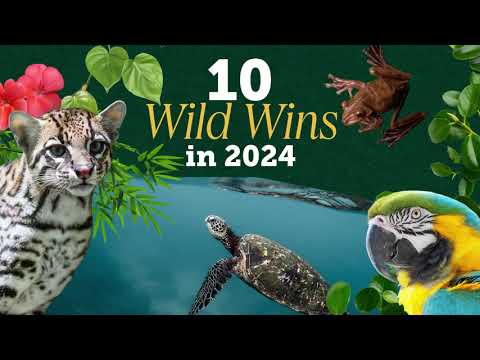 10 Wild Wins in 2024!