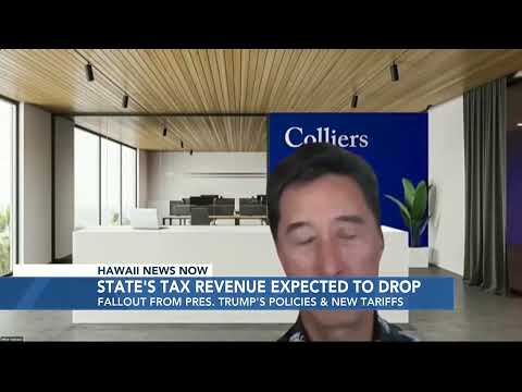 Hawaii economic council carves millions from projected state revenue for ‘very uncertain year’