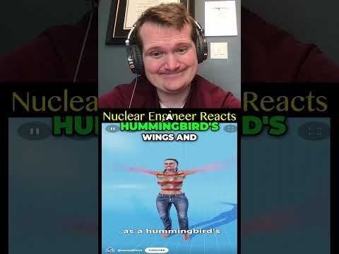 Could you Fly by Flapping Your Arms? - Nuclear Engineer Reacts to Zack D. Films