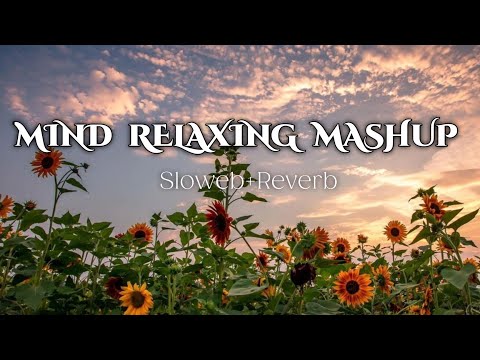 Mind relaxing lofi mashup song relaxing music love mashup song Bollywood mashup