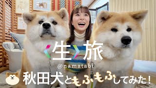 秋田犬にきりたんぽ鍋にラジオ体操！？冬の秋田に行ってきた！