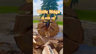 Wolfe Ridge Skid Steer Splitter Busting Big Maple Rounds #youtubeshorts #fyp #fire #firewood