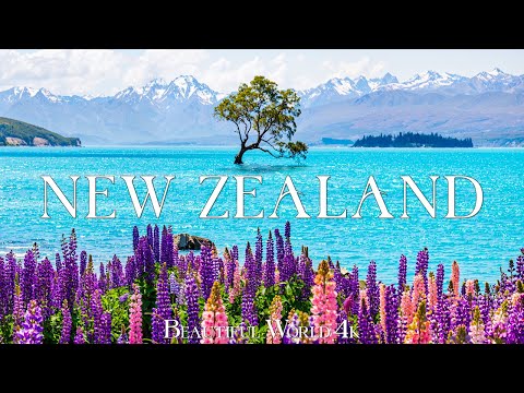 New Zealand 4K – A Springtime Wonderland: Blooming Lupins and Serene Lake Wanaka – 4K UHD