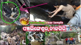 #Panchalingeswar Temple ||Panchalingeswar Mandir Video, Nilagiri,Balasore,Odisha,India