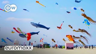 Biggest Kite Festival in Europe | Up in the Air in Berck-sur-Mer, France