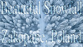 Beautiful Snowfall | Zakopane, Poland | #shorts | #youtubeshorts | Exclusive Yograj