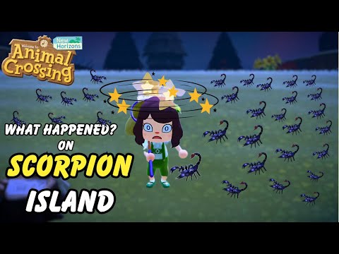 What Happens When You Are First Time on Scorpion Island in ACNH | How To Catch Scorpion in ACNH