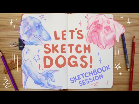 Sketchbook Session | Drawing Dogs + Chat