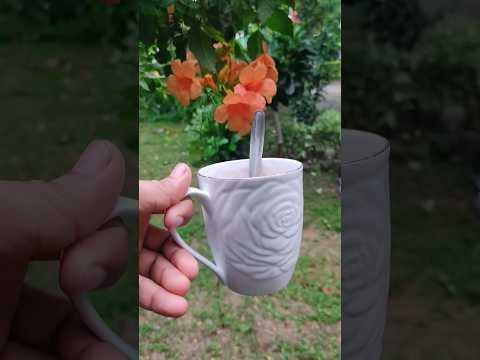 satya dreams chaser#nature love#gardening #viral video