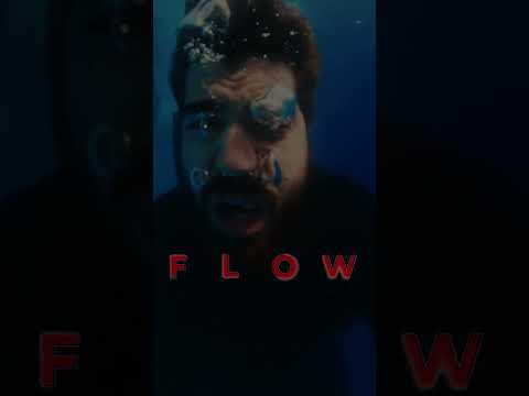 flow teaser 1