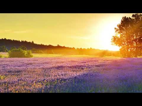 Bright Morning Piano Music for Relaxation, Calm Chords, Major Key Study Music Sunrise