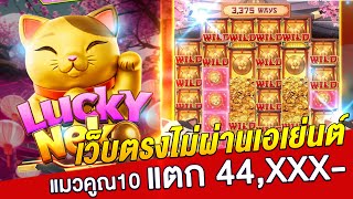 เว็บตรงไม่ผ่านเอเย่นต์ | สล็อตทุน 1000 | สล็อตเว็บตรง แมวเนโกะ!