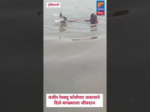 वजीर रेस्क्यू फोर्सच्या जवानाने दिले बगळ्याला जीवदान