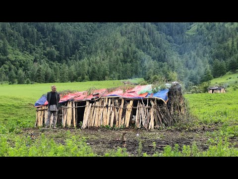 Nepali Mountain Village Life | Himalayan Shepherd Life | Organic Shepherd Food | VillageLifeNepal