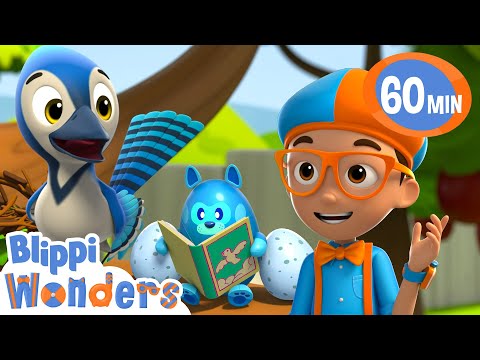 Blippi is on a mission to rebuild a bird's nest ! | Blippi Wonders Educational Videos for Kids