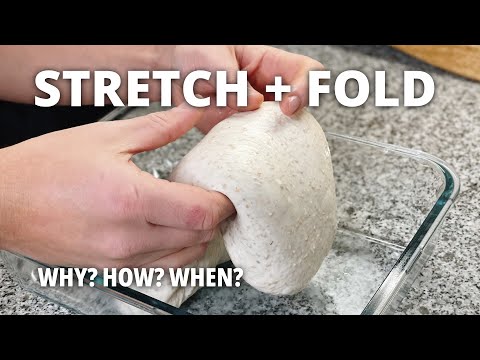 How And When To Stretch And Fold Your Sourdough