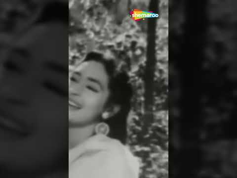 Chhod Do Aanchal Zamana _ Paying Guest (1957)#kishorekumar #ashabhoslesongs#devanand #nutansongs