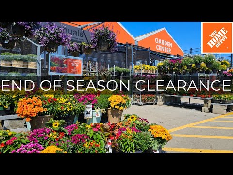 Home Depot End of Season Plant Clearance! October 2024 Fall Planting, Perennials, Shrubs, Evergreens