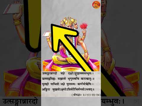 अपने 10 body parts से 10 संतान पैदा की थी #shorts #krishna #hanuman #amazingfacts #facts