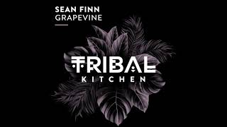 SEAN FINN - Grapevine NUDISCO 2024