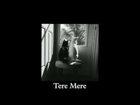 tere mere (slowed + reverb)