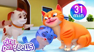 Meow Meow Billi Karti + 10 more Rhymesin Hindi| Nursery Rhymes | Ding Dong Bells