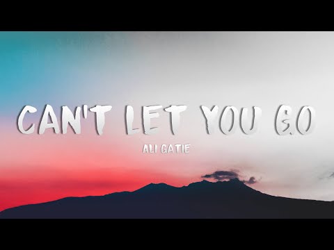 Ali Gatie - Can't Let You Go (Lyrics)