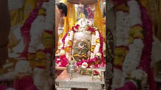 #श्री_महाकालेश्वर_ज्योतिर्लिंग_उज्जैन #mahakaal #live#shortvideo