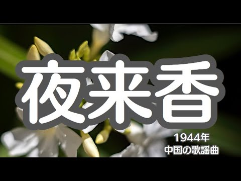 夜来春　イエライシャン　中国　歌謡曲