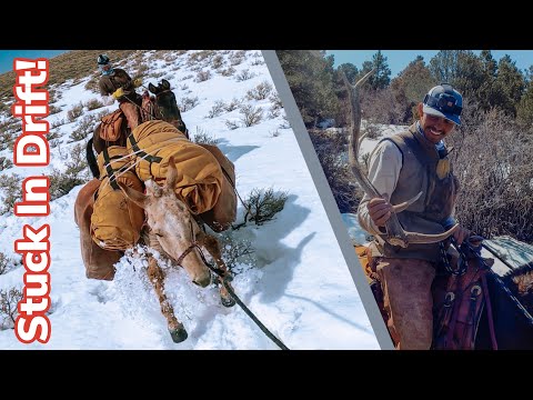 Finding Elk Horns In "No Man's Land"!