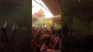 Holi of Barsana 2025 🥰❤#barsana #barsanadham #radheradhe #shorts #barsanaholi2025 #holi