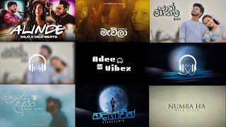 Dilu Beats Best Song Collection | Sinhala Songs 💯🎧 | Adee Vibez |