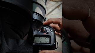 Nikon D7500 Continuous High Shutter #nikon #camera #ytshort #ytshortsindia