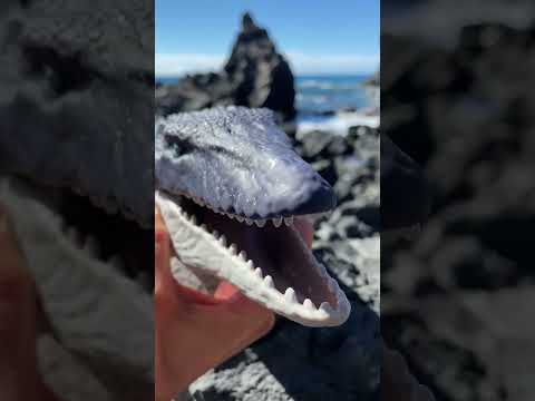 Jurassic World: Rexy & Pals 7 #shorts