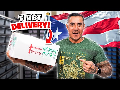 Our First EVER Delivery From Puerto Rico!