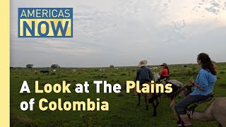 Colombia Hosts COP16: Protecting Biodiversity in Fragile Ecosystems