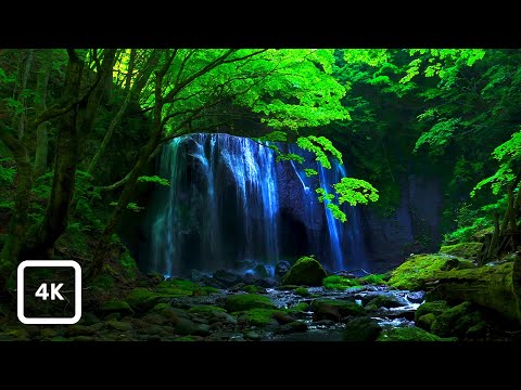 Peaceful Japanese Waterfall Ambience with Relaxing Water Sounds for Sleep & Relaxation