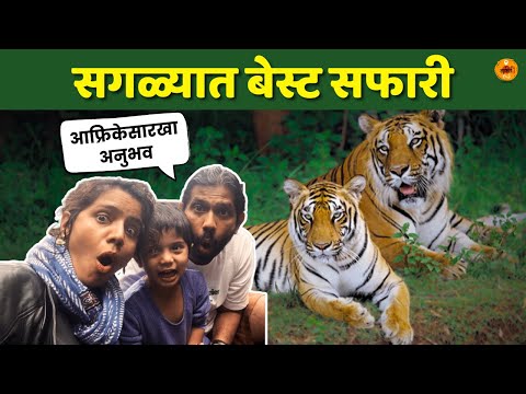 Travel Tips | Bangalore Bannerghatta Safari | Animal Safari | Bangalore trip | Sukirtg