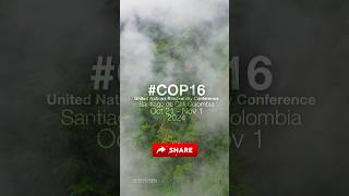 #COP16 Cali, Colombia, has been designated as the host city for COP-16  #biodiversity