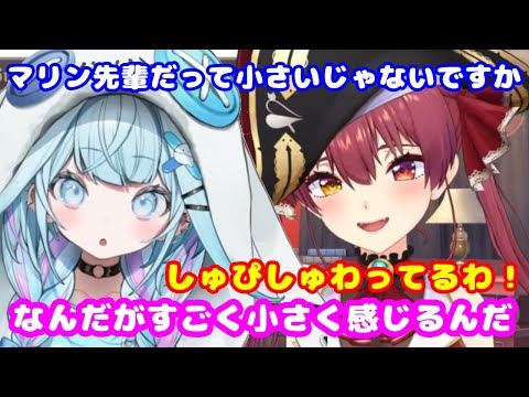 枢ちゃんが補導されやすい事に納得のマリン船長【ホロライブ切り抜き/宝鐘マリン】