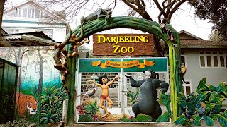 Darjeeling zoo tour || Darjeeling zoo animals red panda || Darjeeling Tour