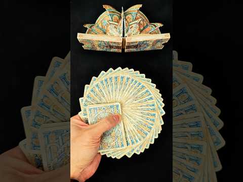 Riffle Fan #cardistry