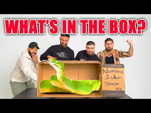 FTB WHAT'S IN THE BOX CHALLENGE