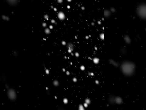 Snowstorm Overlay With SFX ⤴️ #snow #overlay #fx #sfx #aftereffects