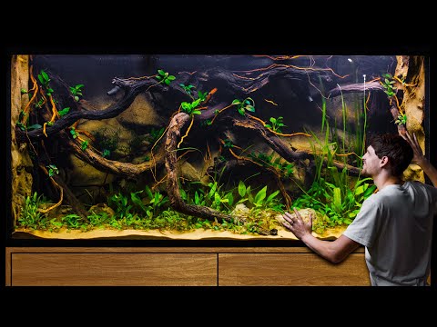 It Took 2 Years to Build This Massive Jungle Aquarium