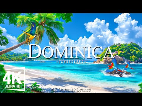 4K Dominica - Discovering Pristine Rainforests, Emerald Rivers of the Caribbean's Nature Island