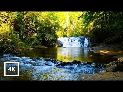 4K Forest River Ambience with Nature Sounds | Relaxing Mountain Stream for Sleep & Meditation